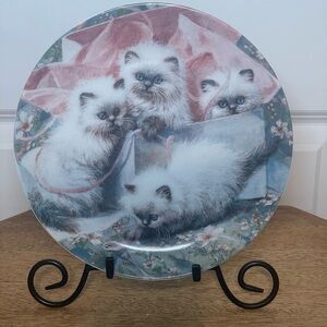 Cat Tales Collection by artist Amy Brackenbury - set of 2